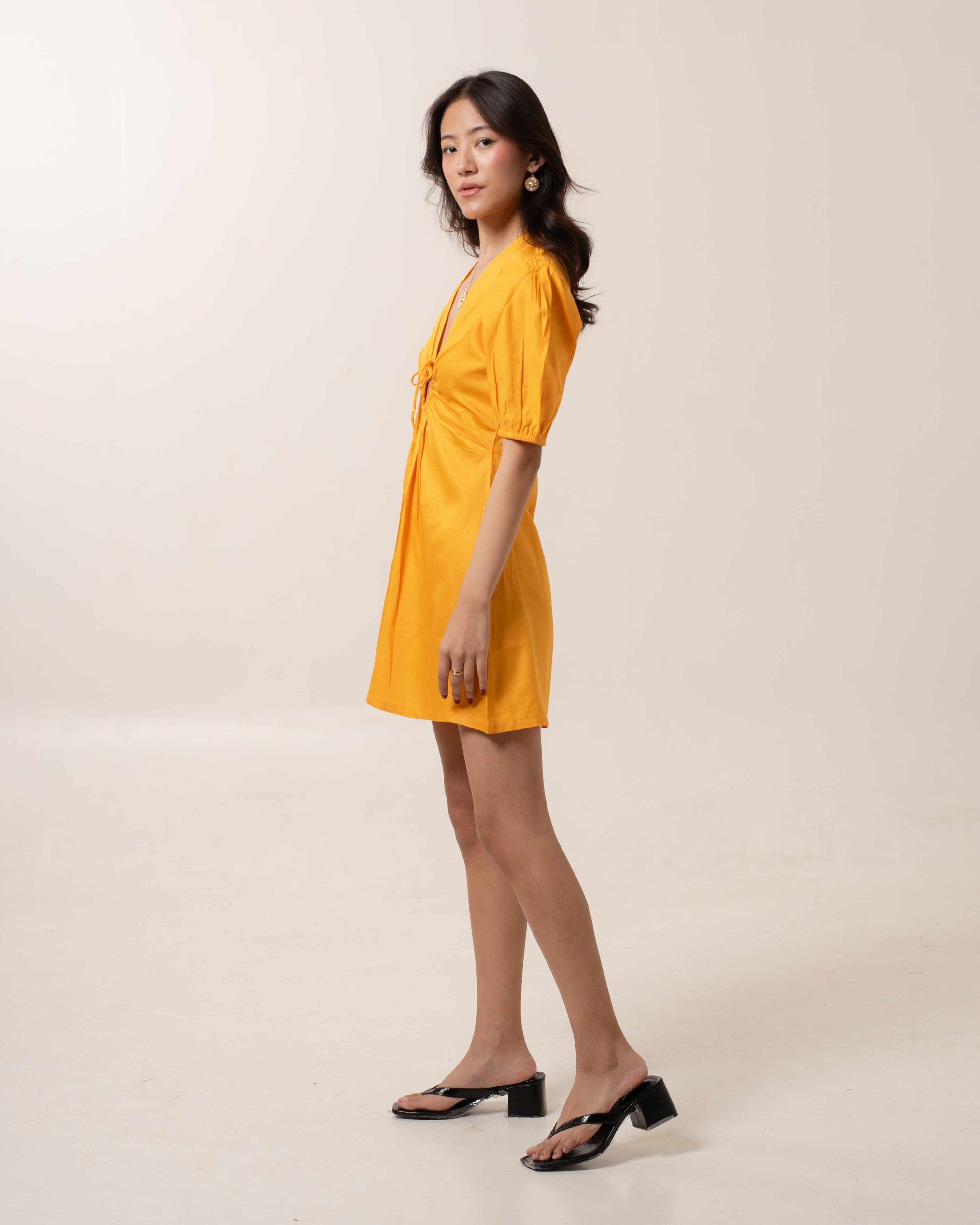 Dandelion Fit-Flare Mini