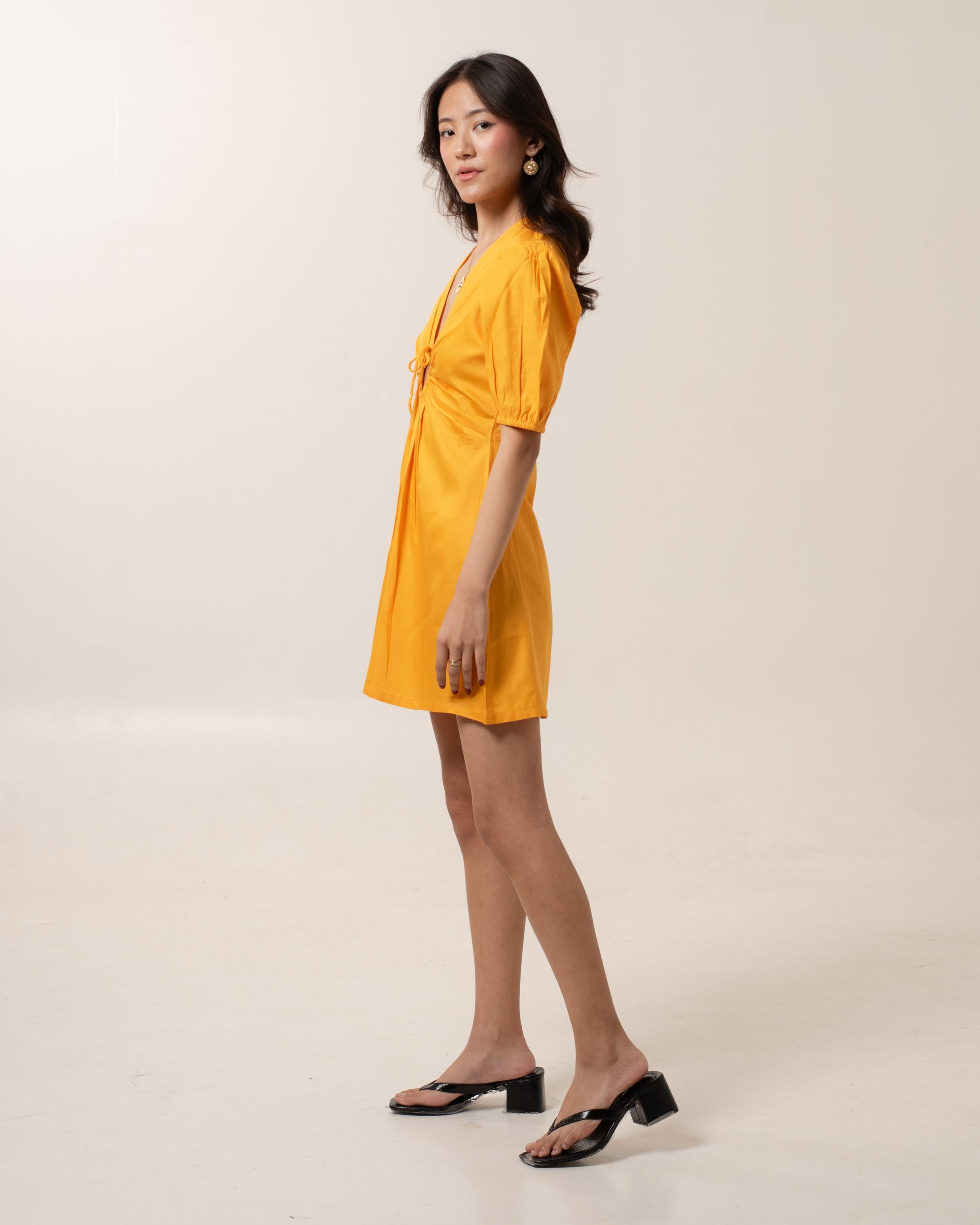 Dandelion Fit-Flare Mini
