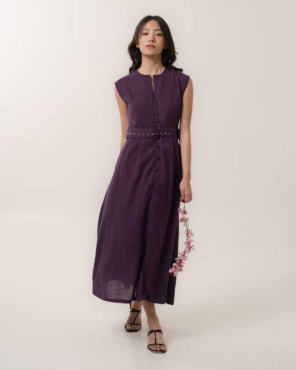 Plum Charm Dress