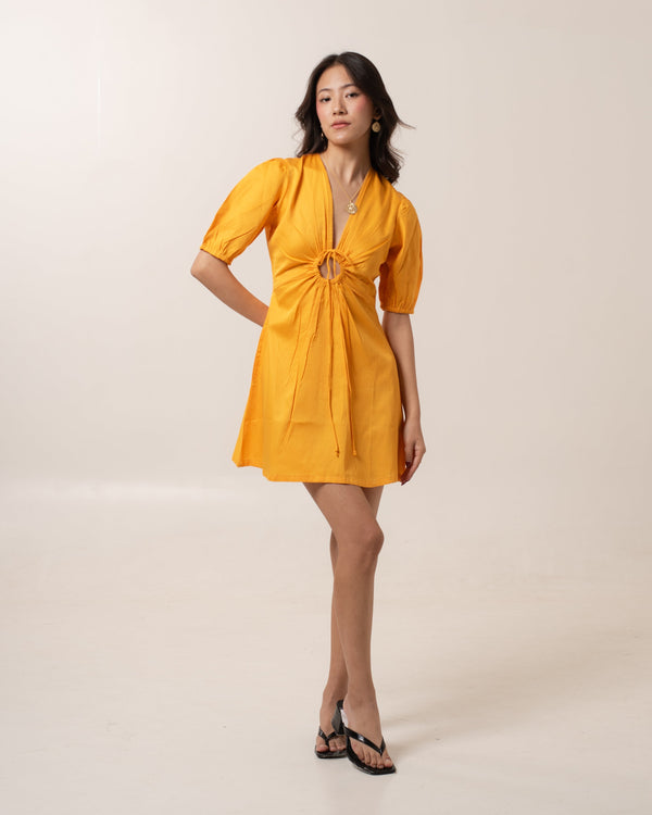 Dandelion Fit-Flare Mini