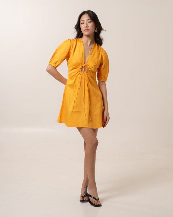 Dandelion Fit-Flare Mini